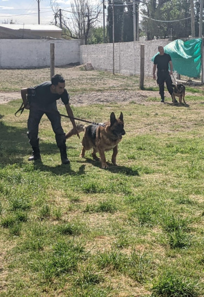 imagen 3 Se llevó a cabo una capacitación dirigida al 3er año de Licenciatura a cargo del personal del Cuerpo de canes de la Policía de Mendoza