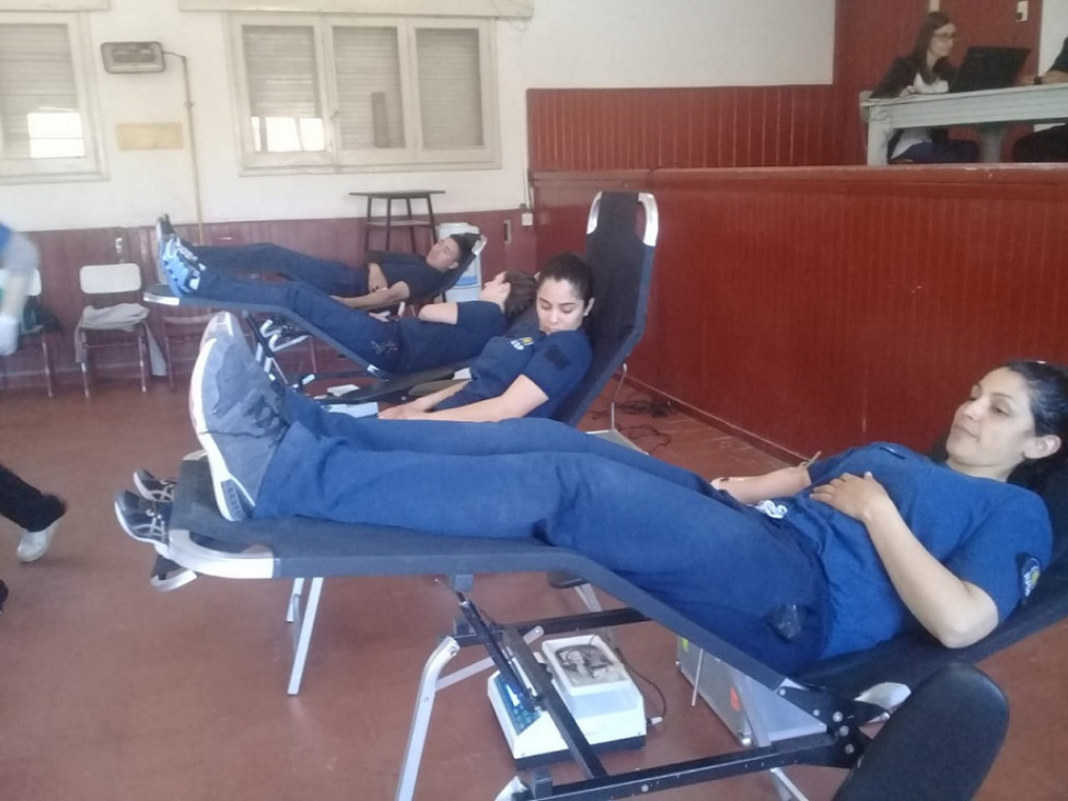 imagen Alumnos del IUSP donaron sangre al Centro Regional de Hemoterapia