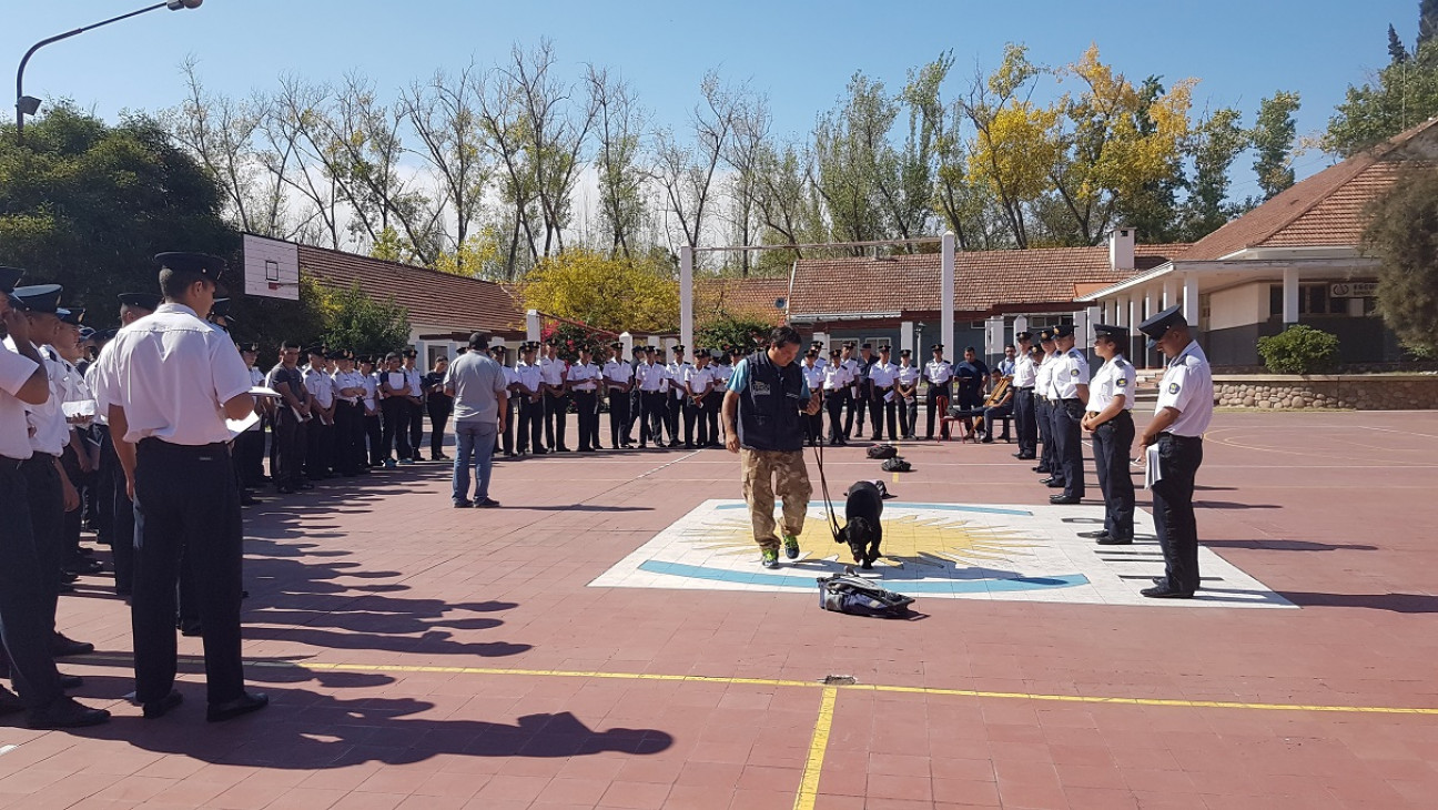 imagen Auxiliares presenciaron una muestra con canes antinarcóticos