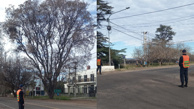 imagen En el marco de prácticas profesionalizantes alumnos de Tecnicatura participaron de la Maratón Ciudad de San Rafael