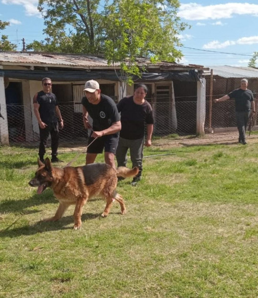 imagen 2 Se llevó a cabo una capacitación dirigida al 3er año de Licenciatura a cargo del personal del Cuerpo de canes de la Policía de Mendoza