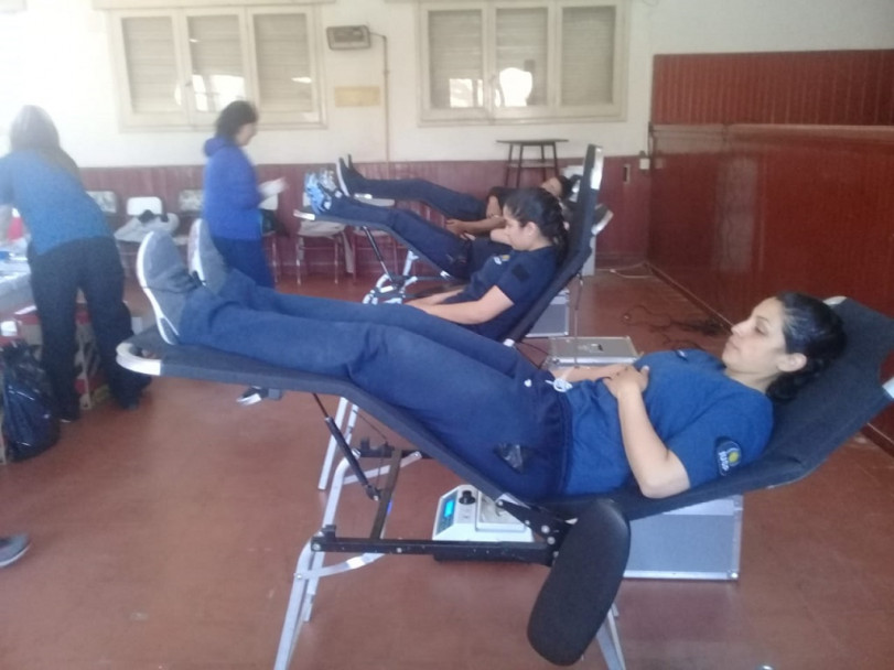 imagen Alumnos del IUSP donaron sangre al Centro Regional de Hemoterapia