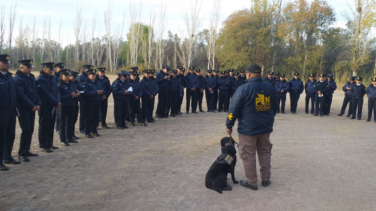 imagen Alumnos del Curso de FPB realizaron actividades con la Unidad de Canes de búsqueda de estupefacientes para la cátedra de Narcocriminalidad