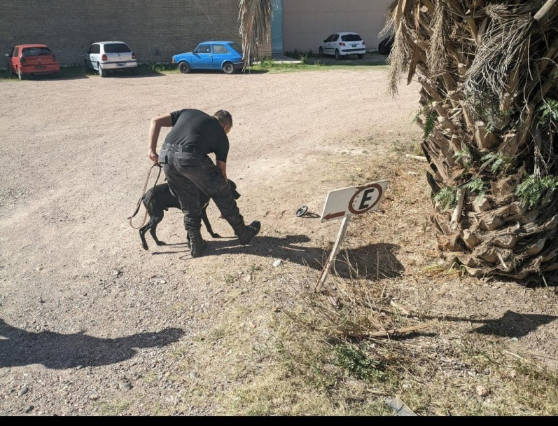 imagen 1 Se llevó a cabo una capacitación dirigida al 3er año de Licenciatura a cargo del personal del Cuerpo de canes de la Policía de Mendoza
