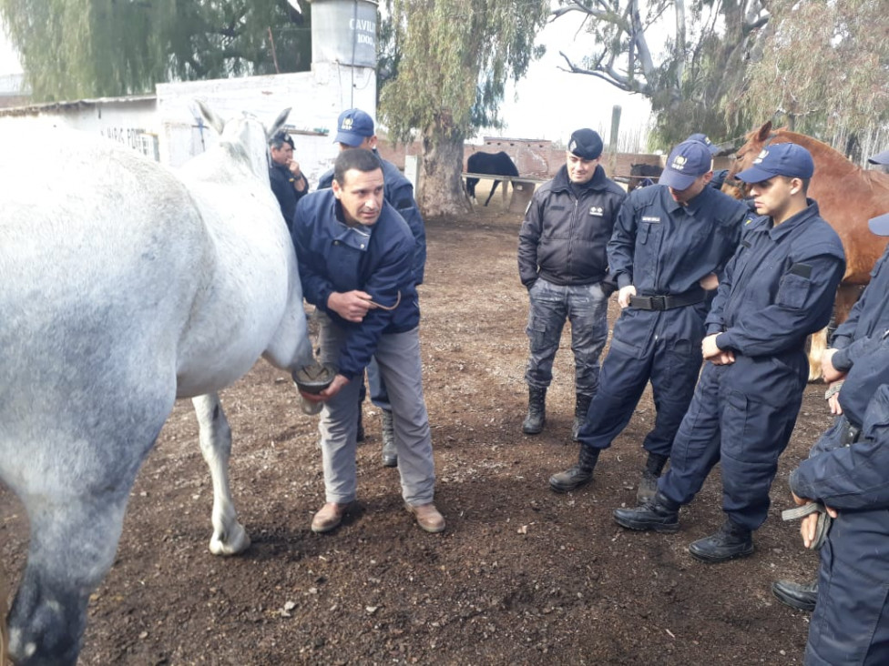 imagen Alumnos de Primer año  de Tecnicatura Zona Sur en práctica con Policía Montada