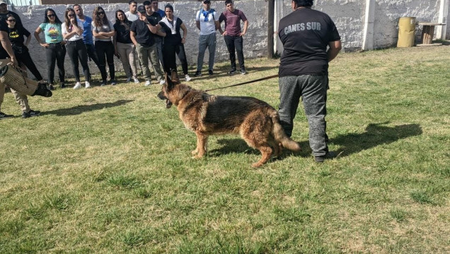 imagen Se llevó a cabo una capacitación dirigida al 3er año de Licenciatura a cargo del personal del Cuerpo de canes de la Policía de Mendoza