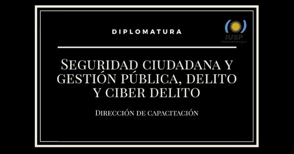 Diplomatura en seguridad ciudadana y gestión pública, delito y cyber ...
